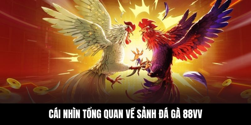 Tổng quan về sảnh đá gà 88VV siêu chất lượng