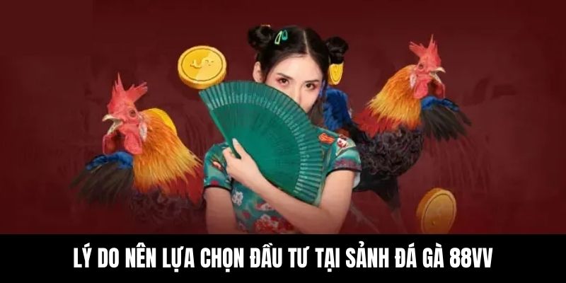 Nguyên do bạn nên lựa chọn tham gia đá gà tại nhà cái 88VV