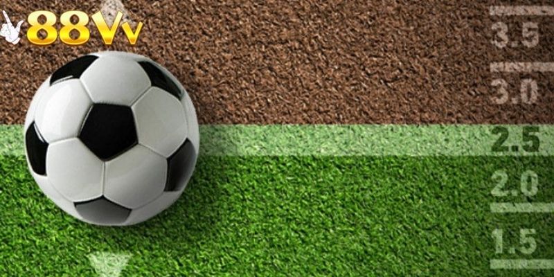 Người chơi nên theo dõi xu hướng cược từ cộng đồng